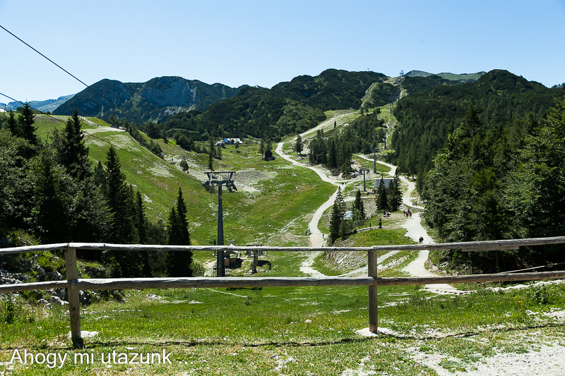 kitaposott ösvény a vogel tetején üde zöld - szlovénia