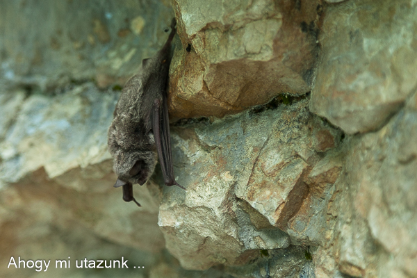 plitvicei tavak látnivalók 13