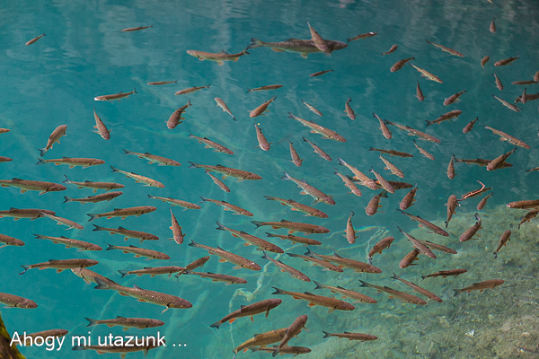 plitvicei tavak látnivalók 28