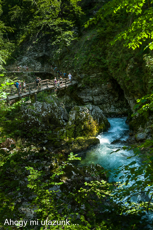 Szlovénia látnivalók - Vintgar-szurdok a zúgók felett Vintgar-szurdok Szlovénia