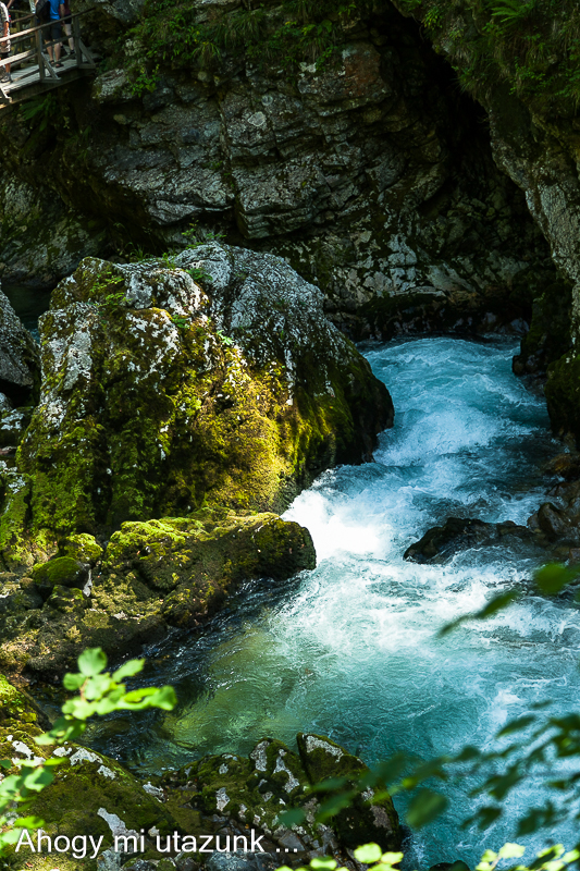 Vintgar-szurdok zúgó közelről Szlovénia látnivalók Vintgar-szurdok zúgó közelről Szlovénia